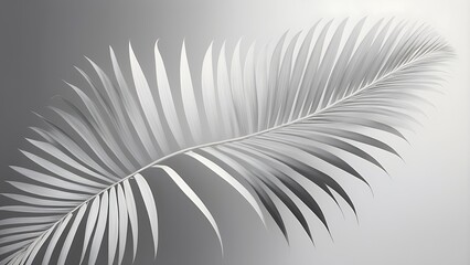 Obraz premium A single palm frond in black and white, isolated on a gradient background.