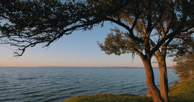 Steadicam shot of beautiful sea coast with trees