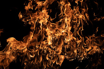 Burning flames on black background