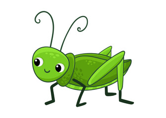 Cute grasshopper on a white background. Vector illustration with insect in cartoon style.