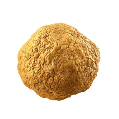 Obraz premium golden truffle transparent background
