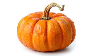 Obraz premium Fresh Dew-Covered Orange Pumpkin on a White Background