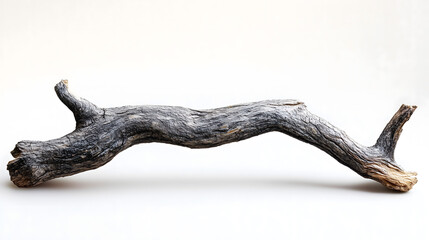 Obraz premium Weathered Wooden Branch Isolated on White Background