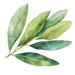 Obraz premium Watercolor botanical leaf illustration