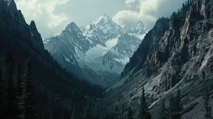 Obraz premium Mountain Range with Trees