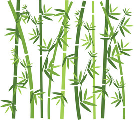 Vector illustration of bamboo plant with brunch and leaves