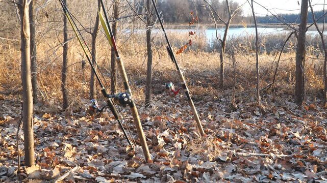 Three fishing rods with reels. stand on the autumn foliage in front of the lake. Tackle for pike fishing baitcasting reel