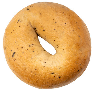 Homemade Bagel or Plain Beigel on white background, Begel bakery isolate on white PNG File.
