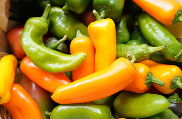 Long Orange and green peppers close-up