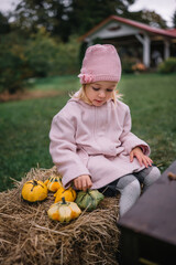 Little girl in a pink coat enjoys autumn pumpkins while sitting on hay in a rural garden