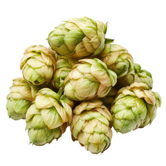 Obraz premium Isolated Hop Cones on White Background for Brewing and Culinary Use