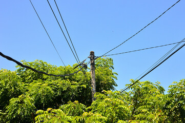 Electric pole among the tree with many cables agaist clear blue sky