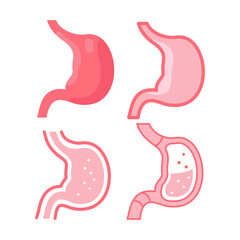 Stomach graphic design illustration