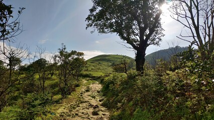 Scenic hiking trail leading to a grassy hill under a bright sky.