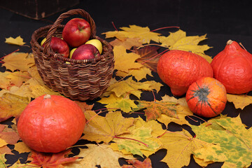 Autumn still life with maple leaves, pumpkins, apples. Harvest, Halloween, Thanksgiving