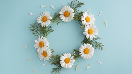 Obraz premium Daisy wreath on a soft blue background, perfect for seasonal decor.