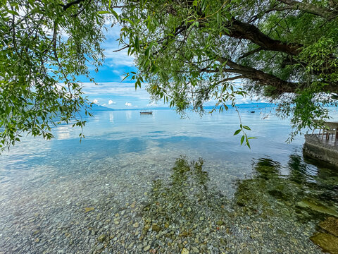 Tranquil lakeside scene framed by weeping willow tree on pebble Beach Potpesh of Lake Ohrid, North Macedonia. Crystal clear water reflecting surrounding hills and mountains. Summer vacation, Balkans