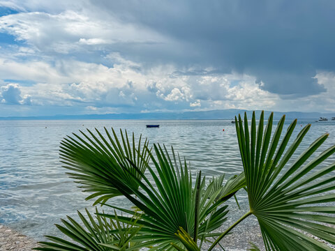 Tranquil lakeside scene framed by Mediterranean fan palm on pebble Beach Potpesh of Lake Ohrid, North Macedonia. Crystal clear water reflecting surrounding hills and mountains. Summer vacation Balkans