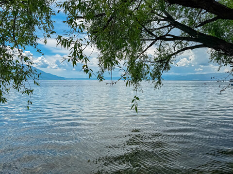Tranquil lakeside scene framed by weeping willow tree on pebble Beach Potpesh of Lake Ohrid, North Macedonia. Crystal clear water reflecting surrounding hills and mountains. Summer vacation, Balkans