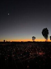 Field of Light in Uluru before Sunrise 13