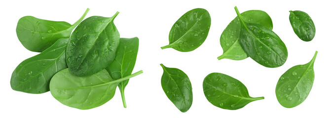Fototapeta premium Baby spinach leaves isolated on white background. Top view. Flat lay