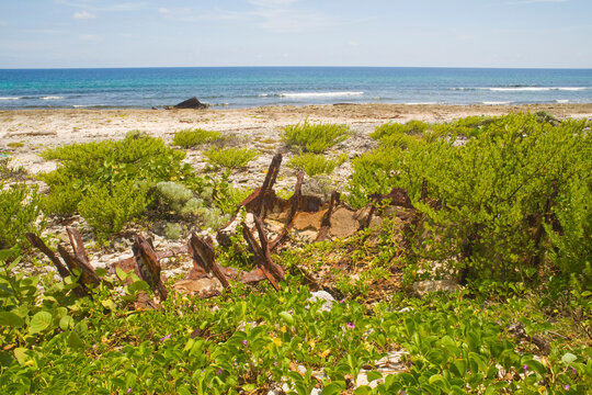 Playa La Barca, Cabo San Antonio, Guanahacabibes Peninsula National Park and Biosphere Reserve, Pinar del Rio, Cuba, West Indies, Caribbean, Central America