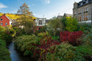 Grossbach creek, plants and houses in the center of Enkirch in Germany in autumn