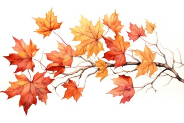 Fototapeta premium Illustration of autumn leaves plant maple leaf.