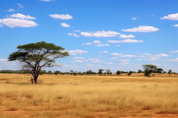 Obraz premium Savanna field landscape grassland.