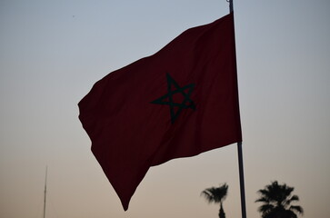 Moroccan Flag Waving at Sunset with Palm Trees in the Background  © Amaro