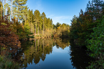 Forest Lake in the Fall