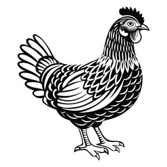 hen and rooster, hen vector, hen icon vector, illustration, hen silhouette of a hen isolated on a white background, eps,