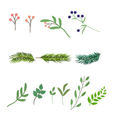 Set of illustrated twigs and leaves
