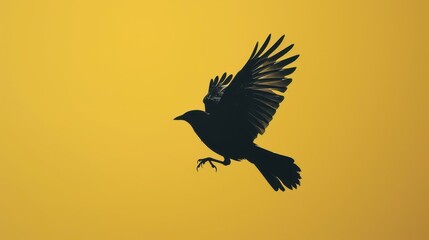 Obraz premium Black Bird Silhouette in Flight Against Yellow Sky