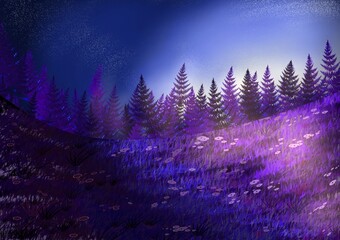 Jungle in the night light 