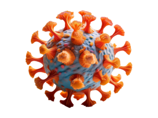 Corona Virus on White Background: Scientific Clip Art