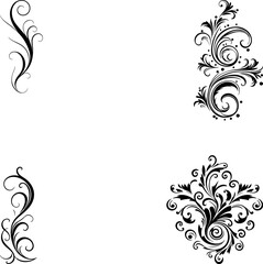 Calligraphic Design Elements Ornate Scroll flourishes filigree Swirl ornament stroke curls divider