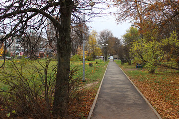 Fototapeta premium Autumn Pathway Through a Quiet Urban Park with Fall Foliage and Empty Walkway