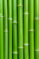 Obraz premium Bamboo green sticks isolated on transparent background
