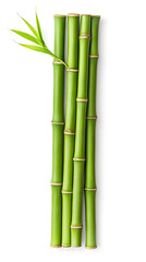 Bamboo green sticks  isolated on transparent background