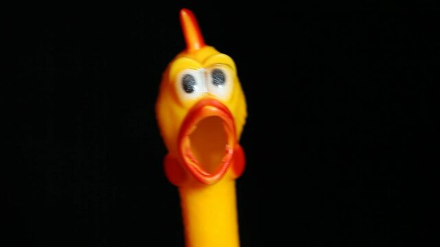 rubber chicken dark background