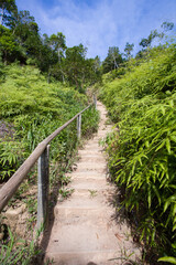 Path to the heart viewpoint in Ilhabela, Castelhano Beach