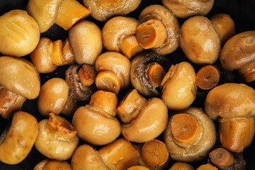 Champignon mushroom canned product tasty food dish fresh delicious gourmet food background on the table 