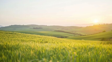Obraz premium Serene Hills at Sunset in the Countryside