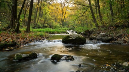 Autumn forest streams, fallen leaves dancing lightly with the water