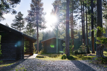 Image of a log house in a forest