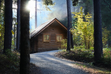 Image of a log house in a forest