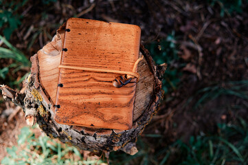 Handmade notebook with wooden cover.