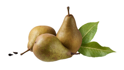 Three ripe whole fresh green brown pear fruits Beurre Bosc with leaves isolated on white background.
