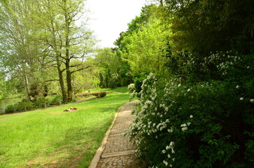 path in the park